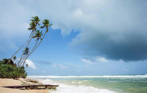Dziewiczej Tropikalnej Plaży Sri Lanki Plaża Akurala — Zdjęcie stockowe