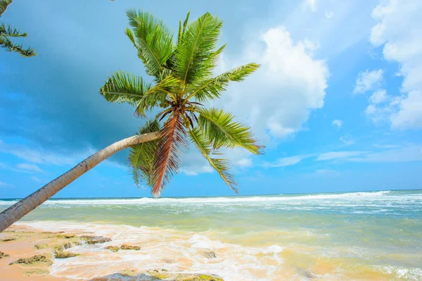 Незаймана тропічний пляж — стокове фото