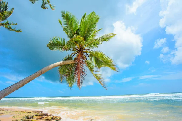 Dziewiczej tropikalnej plaży — Zdjęcie stockowe