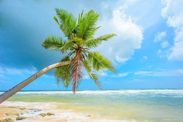 Pantai tropis yang tak tersentuh — Stok Foto