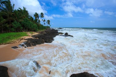 Sri Lanka taşlarla tropikal plaj
