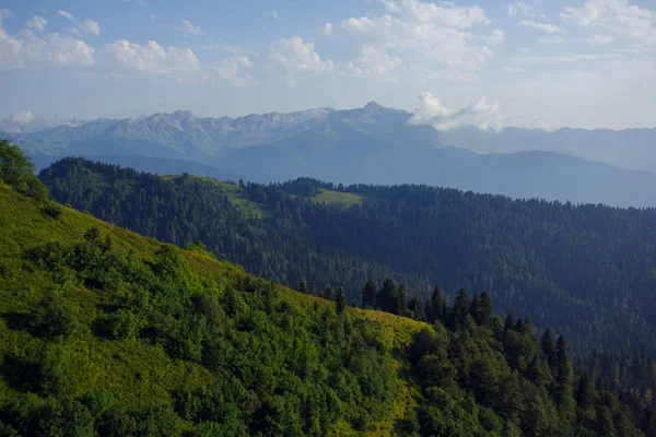 Roza Khutor Plateau lato Alpine Ski Resort krajobraz, Soczi, Rosja. Zbliżenie na alpejskiej łąki, na tle góry Kaukaz — Zdjęcie stockowe
