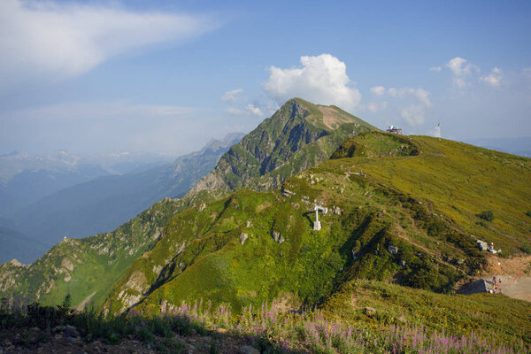 Roza Khutor Plateau Summer Alpine Ski Resort Landscape, Sochi, Russia. Close Up Of Alpine Meadow On A Background Of Caucasian Mountains