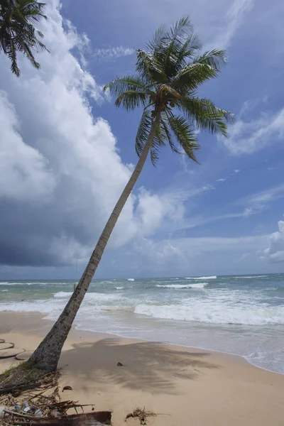 Tropisch strand van Sri Lanka — Stockfoto