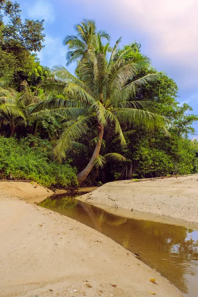 Dziewiczej tropikalnej plaży Tajlandia Zdjęcie Stockowe