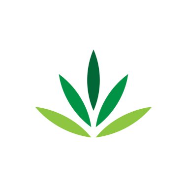 Yaprak Logo Vektörü Tasarım Şablonu