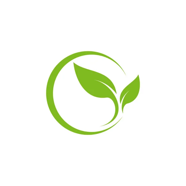 Modello Design Vettoriale Con Logo Foglia — Vettoriale Stock
