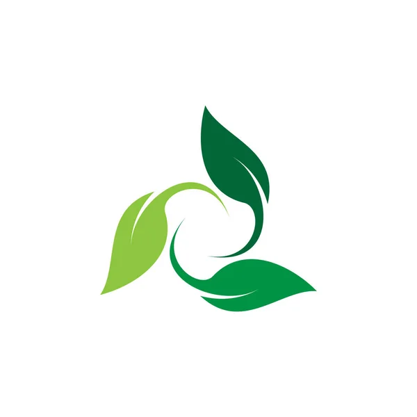 Шаблон Дизайну Векторного Логотипу Листя — стоковий вектор