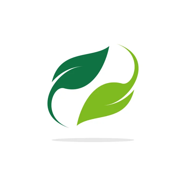 Templat Desain Vektor Logo Green Leaf - Stok Vektor