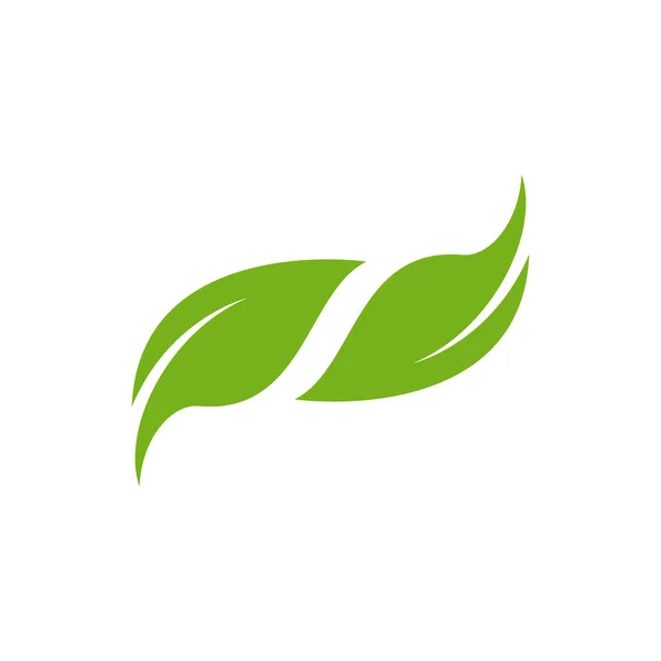 Green Leaf Logo Vektor Design Vorlage — Stockvektor