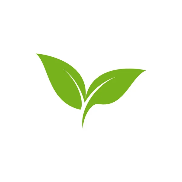 Grönt Blad Logotyp Vektor Design Mall — Stock vektor