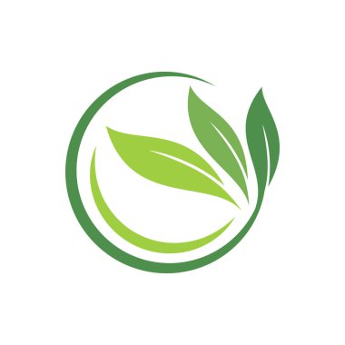 Yaprak Logo Vektörü Tasarım Şablonu
