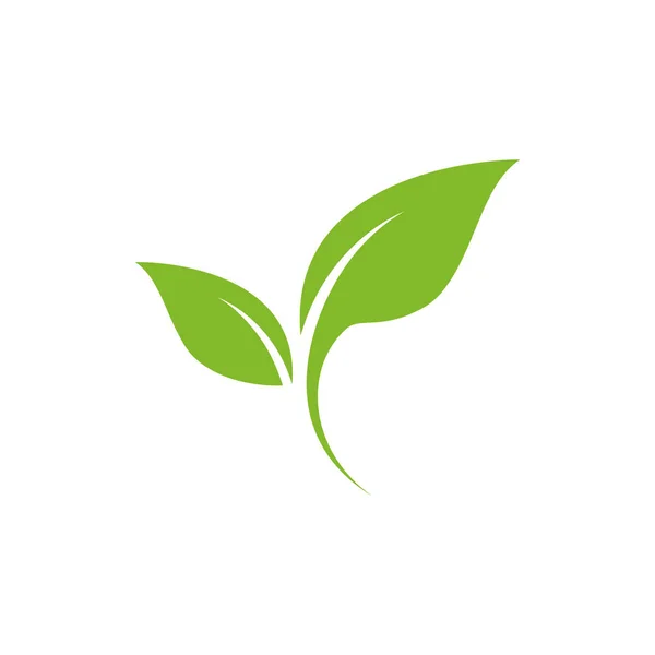 Leaf Logo Vector Design Șablon — Vector de stoc