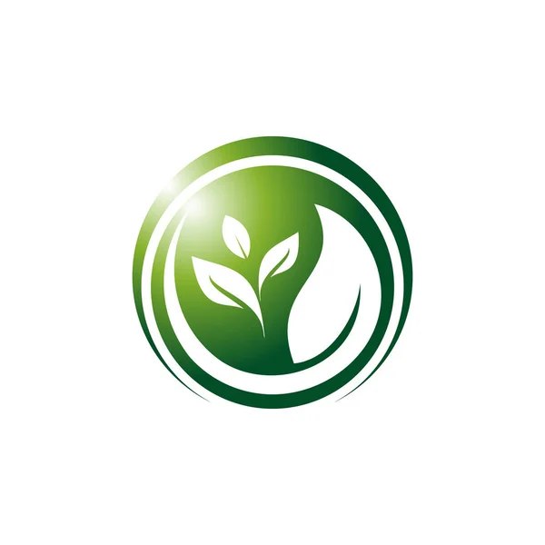 Шаблон Дизайну Векторного Логотипу Листя — стоковий вектор
