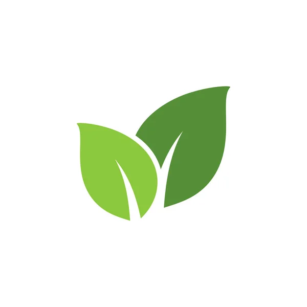 Szablon Projektu Wektora Zielonego Liścia — Wektor stockowy
