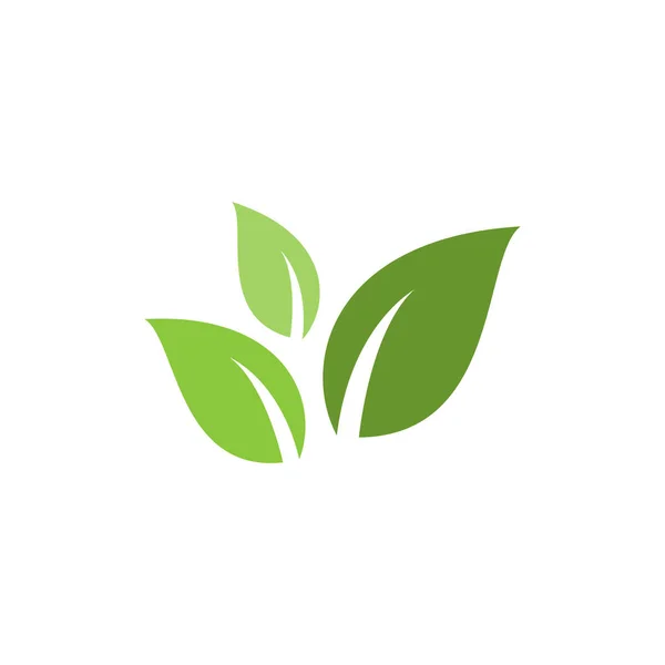 Yeşil Yaprak Logo Vektör Tasarım Şablonu — Stok Vektör