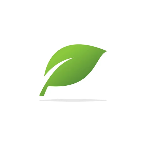 Modelo Design Vetor Logotipo Folha Verde — Vetor de Stock