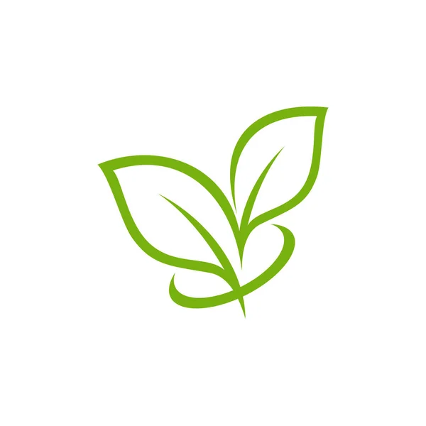 Modelo Design Vetor Logotipo Folha Verde —  Vetores de Stock