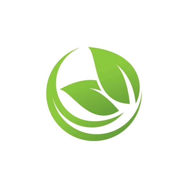 Green Leaf Logo Vektor Design Vorlage — Stockvektor