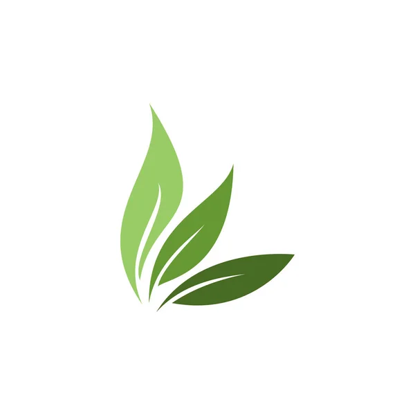 Hoja Logo Vector Plantilla Diseño — Vector de stock