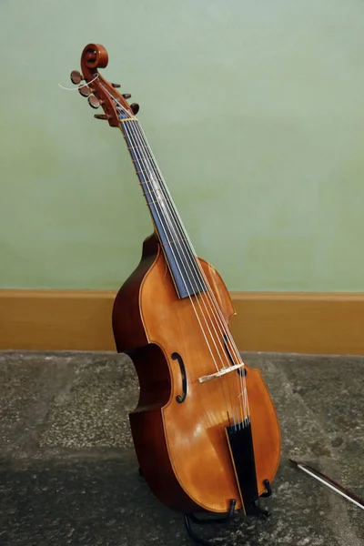 乐器架中的木制乐器中提琴 大阪木小提琴 — 图库照片