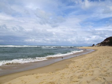 Pipa plaj ve Baia dos Golfinhos - Natal Beach, Rio Grande do Norte, Tibau do Sul, Brezilya kuzeydoğu kıyılarında - peyzaj Brezilya'da tatil