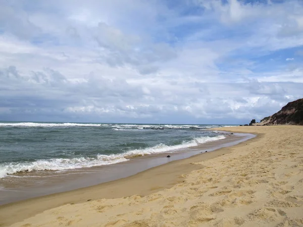 皮帕海滩和 Baia Dos Golfinhos 的景观 纳塔尔海滩 北里奥格兰德 南蒂博 巴西东北海岸 在巴西度假 — 图库照片