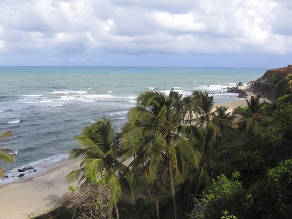 皮帕海滩和 Baia Dos Golfinhos 的景观 纳塔尔海滩 北里奥格兰德 南蒂博 巴西东北海岸 在巴西度假 — 图库照片