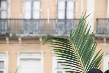 Kutsal hafta palmiye Pazar