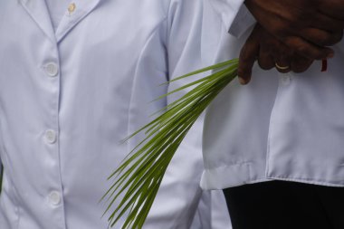 Kutsal hafta palmiye Pazar