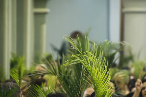 Heilige Woche Palmsonntag — Stockfoto