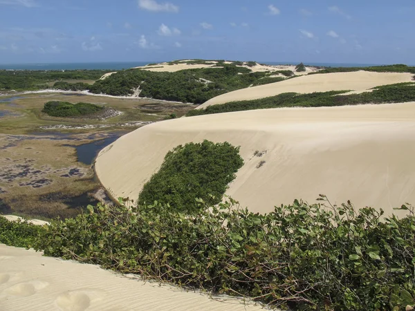 Paysage de la lagune de Genipabu - Natal au nord-est du Brésil — Photo