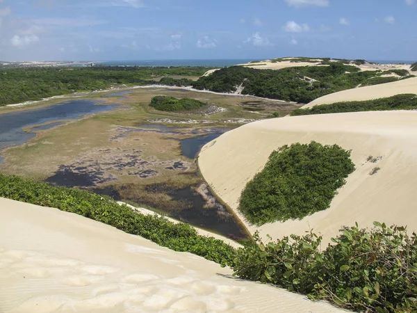Paysage de la lagune de Genipabu - Natal au nord-est du Brésil — Photo