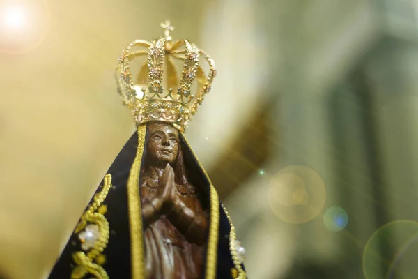 Aparecida Leydimizin resmi - Meryem Anıtımız