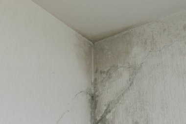 Su sızıntısı, küf ve çatlaklar duvarda ve evin beyaz çatısında