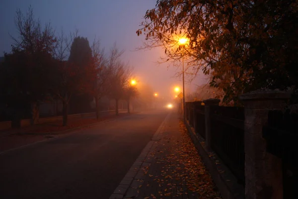 Morning Autumn City Street Fog — Stock Photo, Image