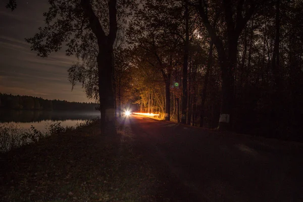 Ночная Поездка Лесу Машиной Легкий След Захвачен — стоковое фото