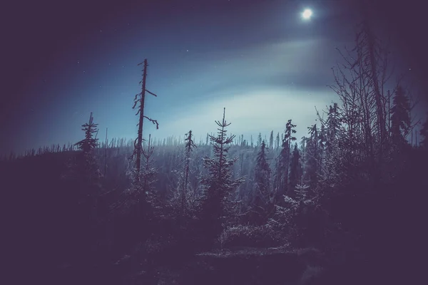 Beau Paysage Hivernal Dans Les Montagnes Nuit — Photo