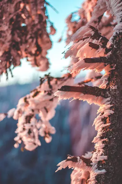 Vista Del País Las Maravillas Del Invierno Durante Amanecer — Foto de Stock