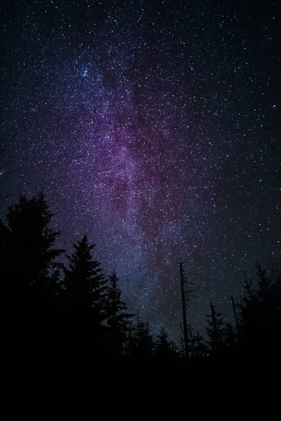 Voie Lactée Dessus Forêt — Photo