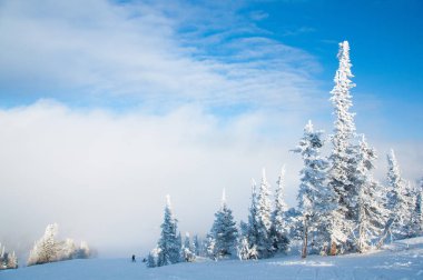 Sheregesh Kayak Merkezi. Zelenay dağın üzerinden iniş aramadan önce snowboard. Dağ Shoria, altay. 