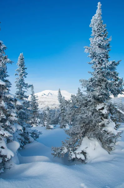 Dağlar görünümünü deve dağ Shoria, Gorniy altay, Rusya denir. Dağda bir ibadet çapraz. Sheregesh Kayak Merkezi.