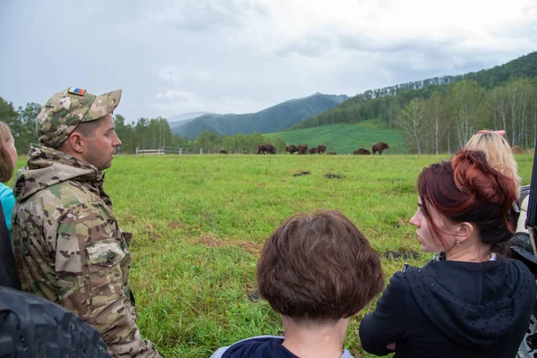 Altai Ρωσία 2017 Άνθρωποι Που Παρακολουθούν Κοπάδι Των Βίσωνες — Φωτογραφία Αρχείου