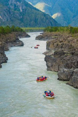A lot of rafts and kayaks floating down a mountain river Katun. Mountain landscape, Altai mountains, Russia. clipart