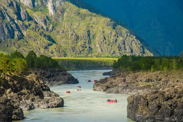 Katun dağından aşağı yüzen bir sürü sal ve kano. Dağ manzarası, Altay dağları, Rusya Federasyonu.