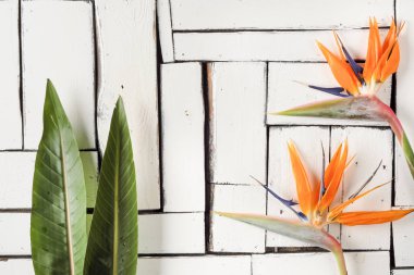 Turuncu tropikal çiçek ve egzotik yaprak beyaz plak panoları masaya yalan. Cennet kuşu.