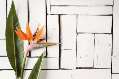 Turuncu tropikal çiçek ve egzotik yaprak beyaz plak panoları masaya yalan. Cennet kuşu.