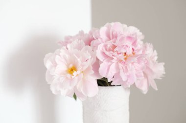 Beyaz ve gri duvar odadaki açısı. Şifonyerin üstünde beyaz vazo pembe çiçekler peonies çiçek açmış duruyor. Duvarlar iki renklerde boyanmış. Basit minimalist iç. Metin için yer.