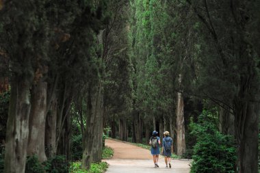 İki genç güzel esmer kız kot elbise ve şapka park uzun yeşil ağaçlar ile yol boyunca yürüyüş.