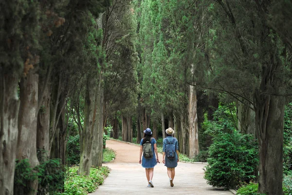 İki genç güzel esmer kız kot elbise ve şapka park uzun yeşil ağaçlar ile yol boyunca yürüyüş.